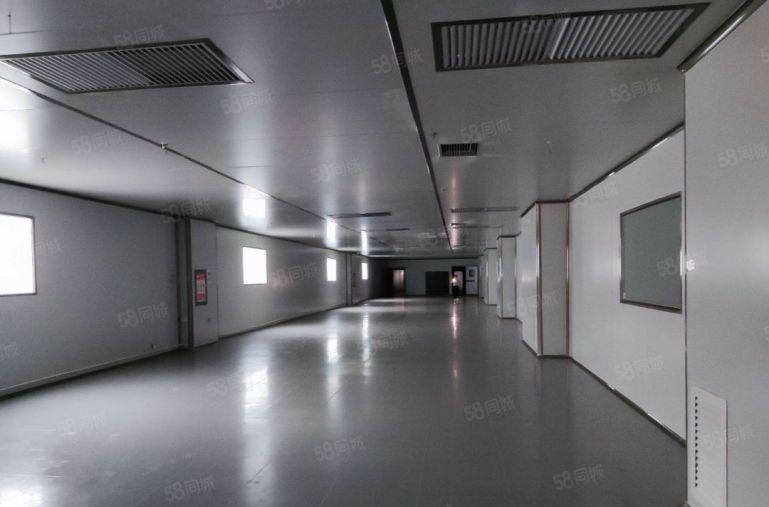 大亚湾经济开发区新空出工业园标准无尘车间2150平米低价出租