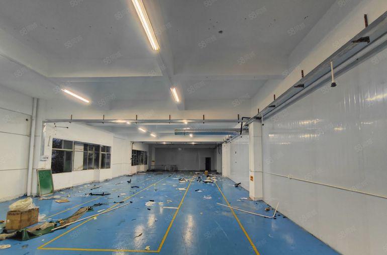 10元大亚湾西区新空出2350平精装修地坪漆厂房300平起分