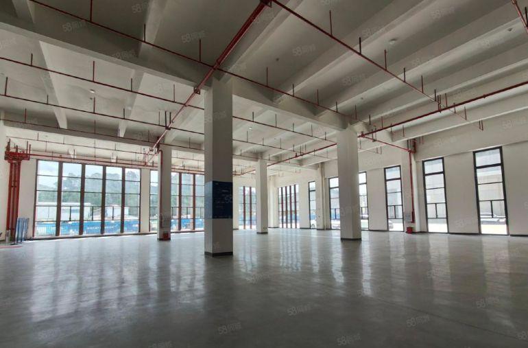 大亚湾全新装修临深42000独院厂房仓库出租大小可分租