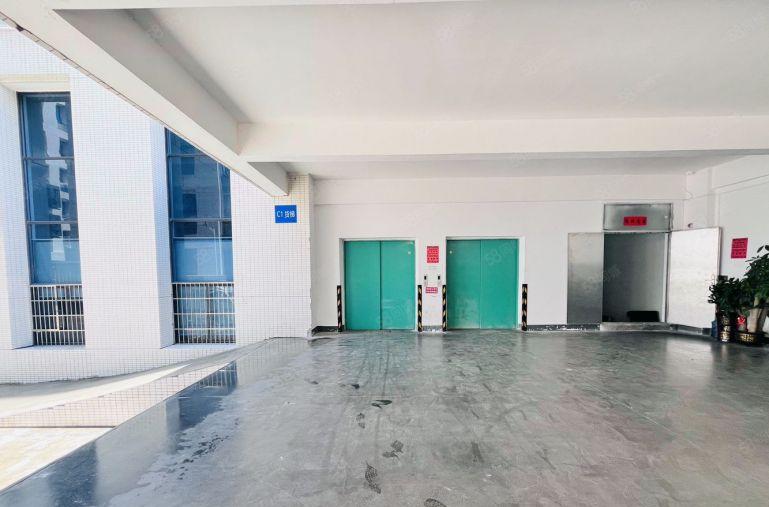 大亚湾西区6米高一楼一套400平一套600平特价出租有装修