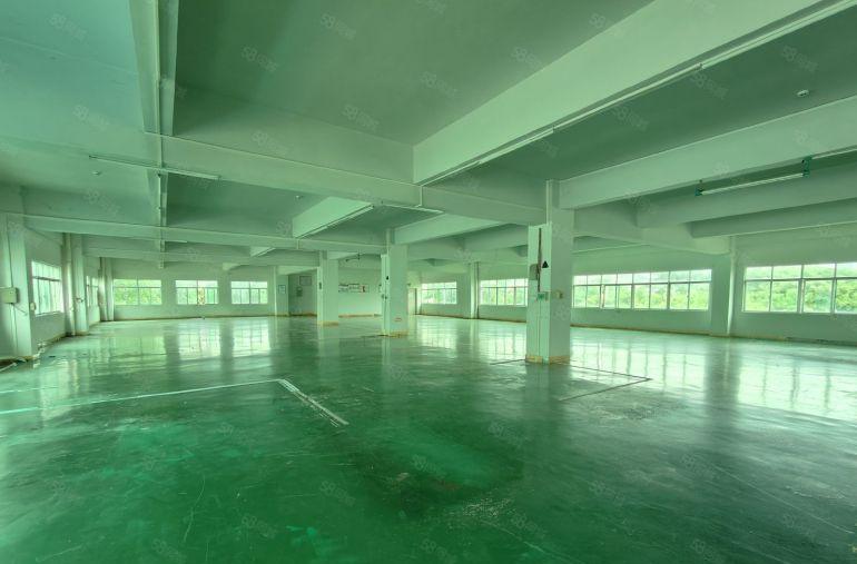 大亚湾响水河4楼1200平方原房东带装修厂房仓库出租招工方便