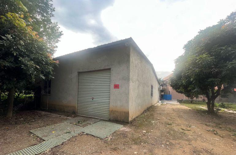 大亚湾原房东直招单一层厂房，不限制行业。