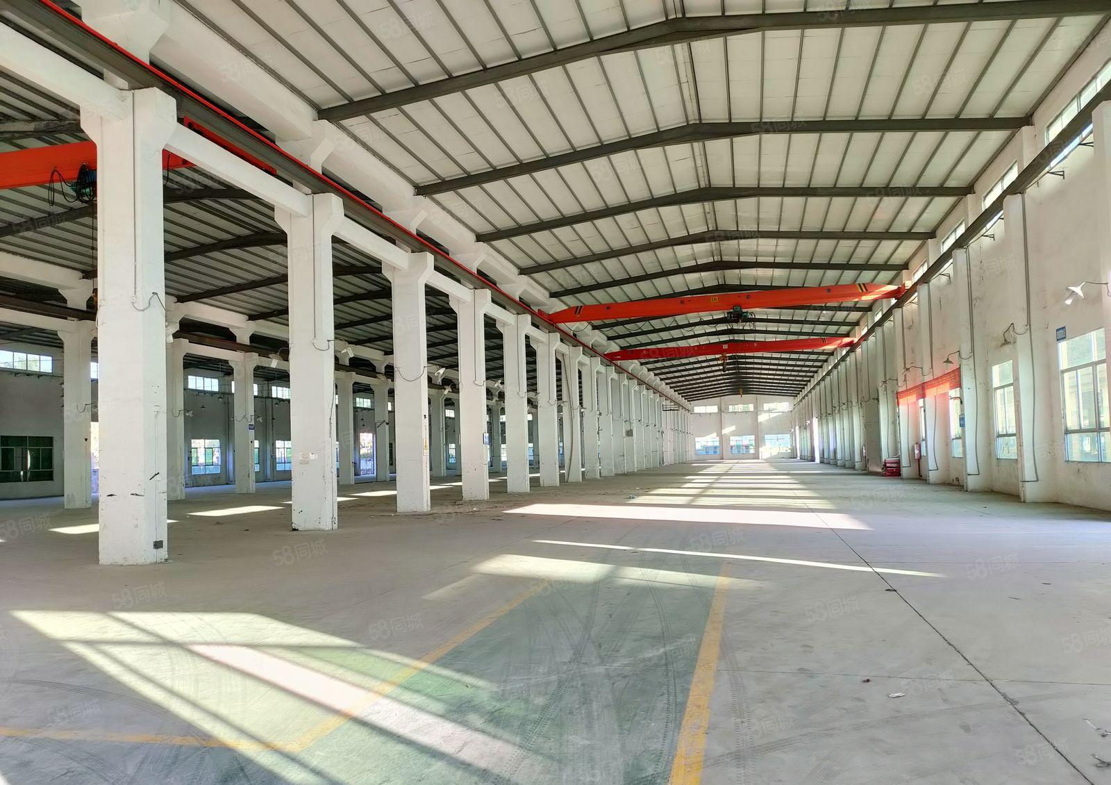 大亚湾10米高钢结构厂房出租，5000平方，可分租