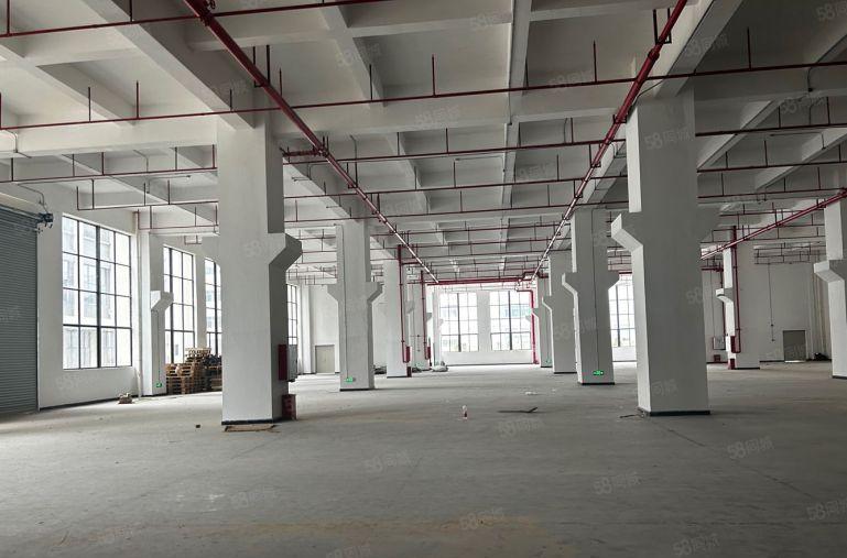 9元！大亚湾西区原房东独栋15000平厂房仓库低价出租可分租