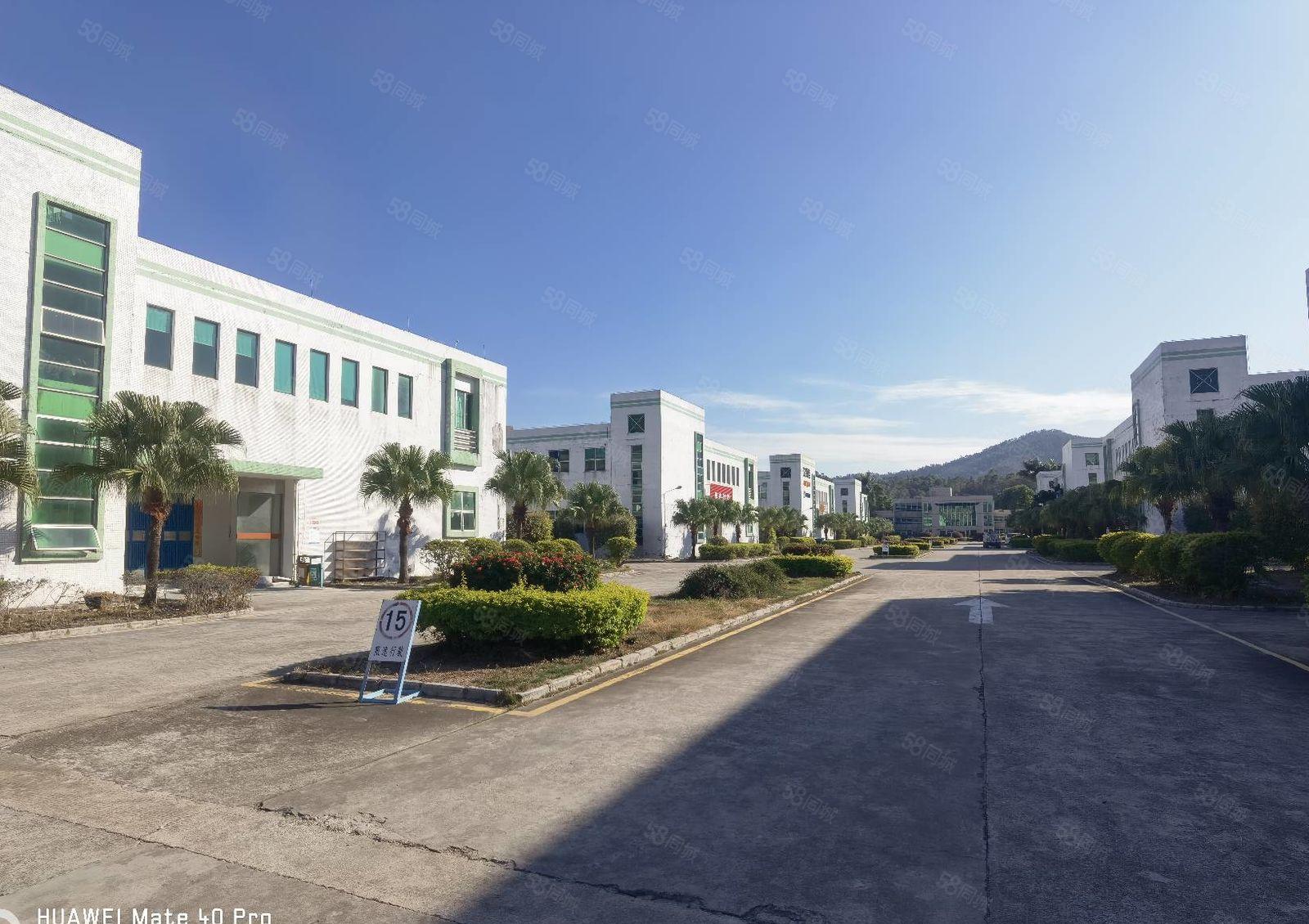 （超长免租期）整层1000平原房东厂房出租，证件齐全