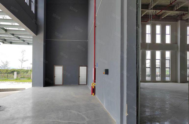 8元8元大亚湾原房东厂房带精低价出租可分租