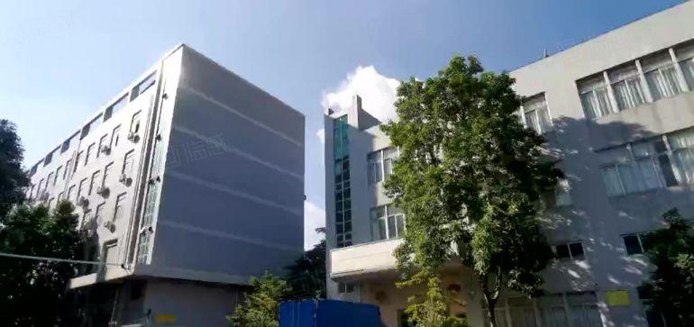 大亚湾临深 新空出2楼600平方带精装修办公室厂房仓库出租