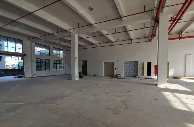 300平方起租大亚湾响水河工业区全新红本厂房低价出租