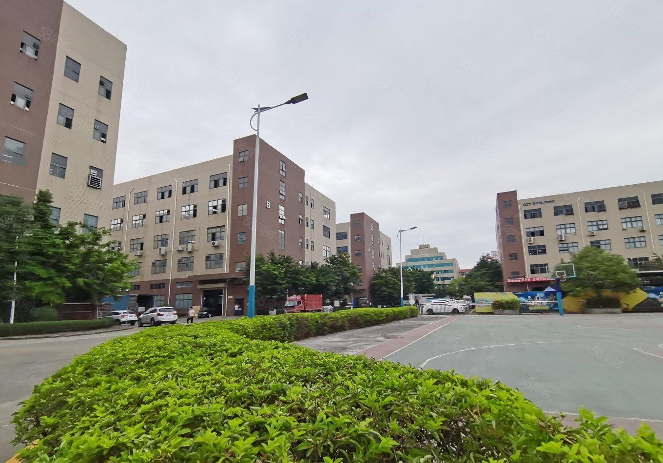 大亚湾西区红本标准厂房一楼2楼各2000平米，可分租，形像好