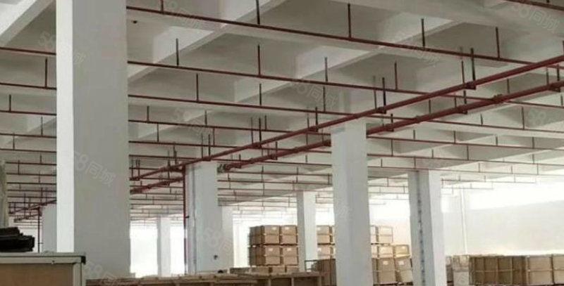 大亚湾西区新出标准厂房16000平大小可分证件齐全