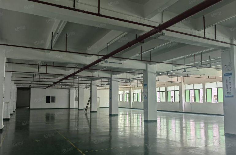 大亚湾临深800平方精装修厂房低价出租面转让费 好招工