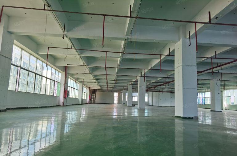 人流大易招工！1000平至3000平大亚湾西区大工业园区厂房