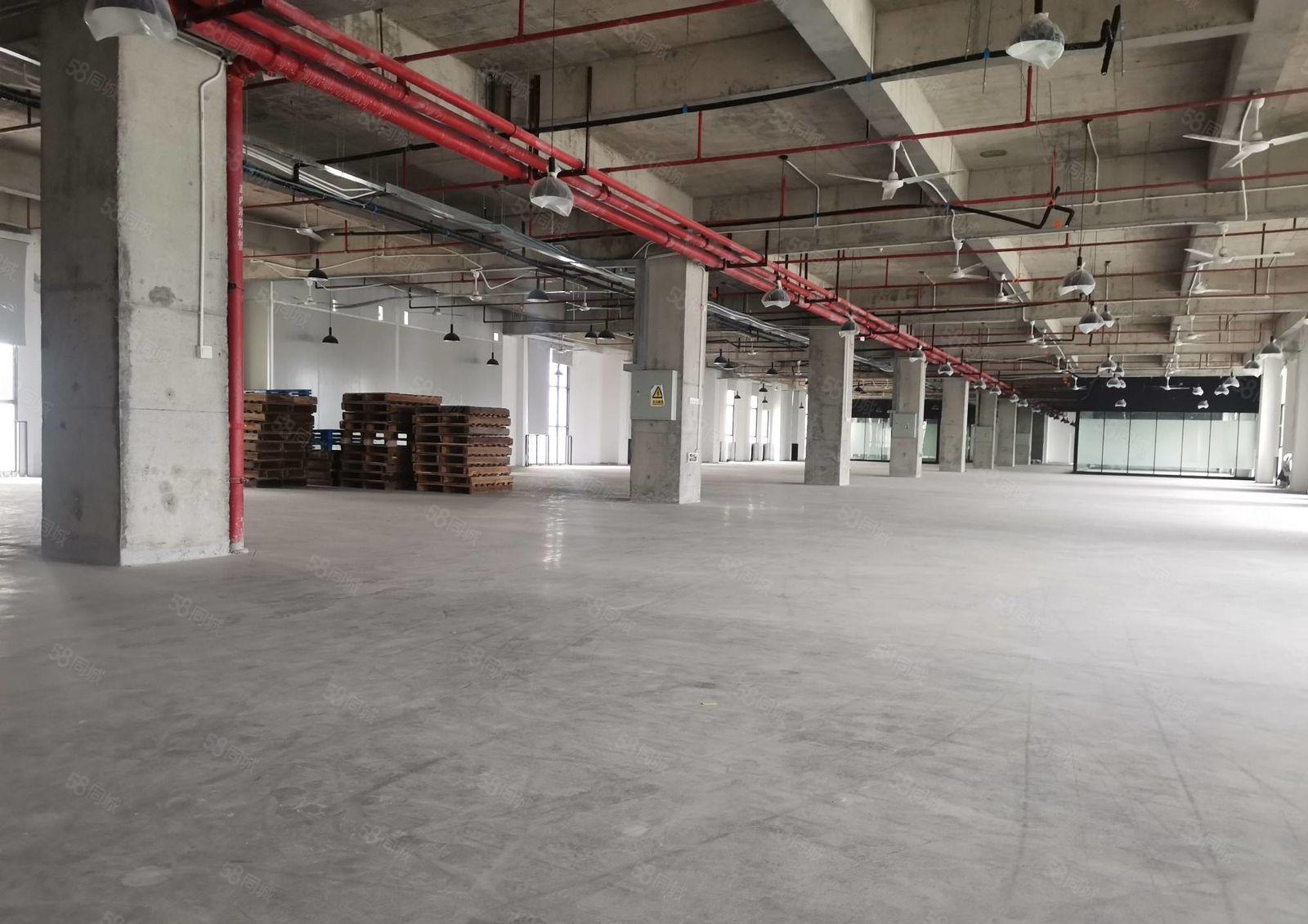 大亚湾西区原房东整层2000平方米，红本厂房出组，形象好