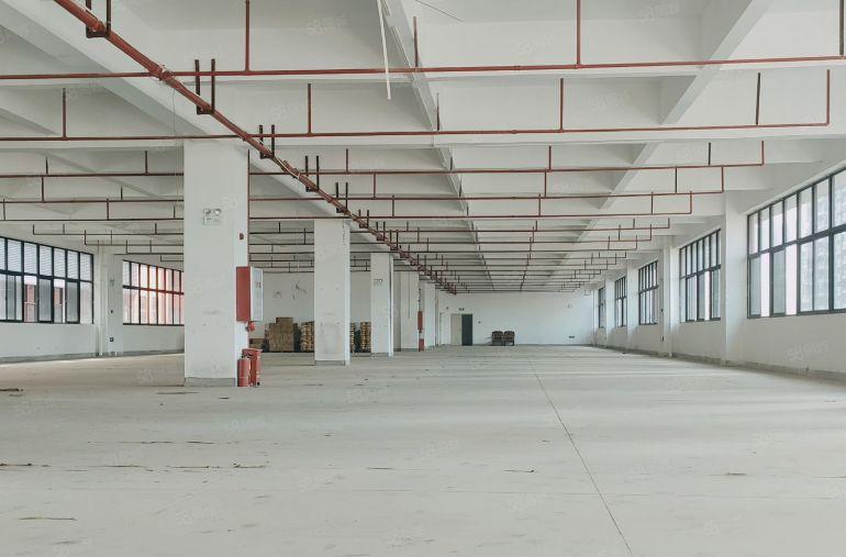 10元，大亚湾全新2000平原房东厂房仓库出租，形象靓可分租