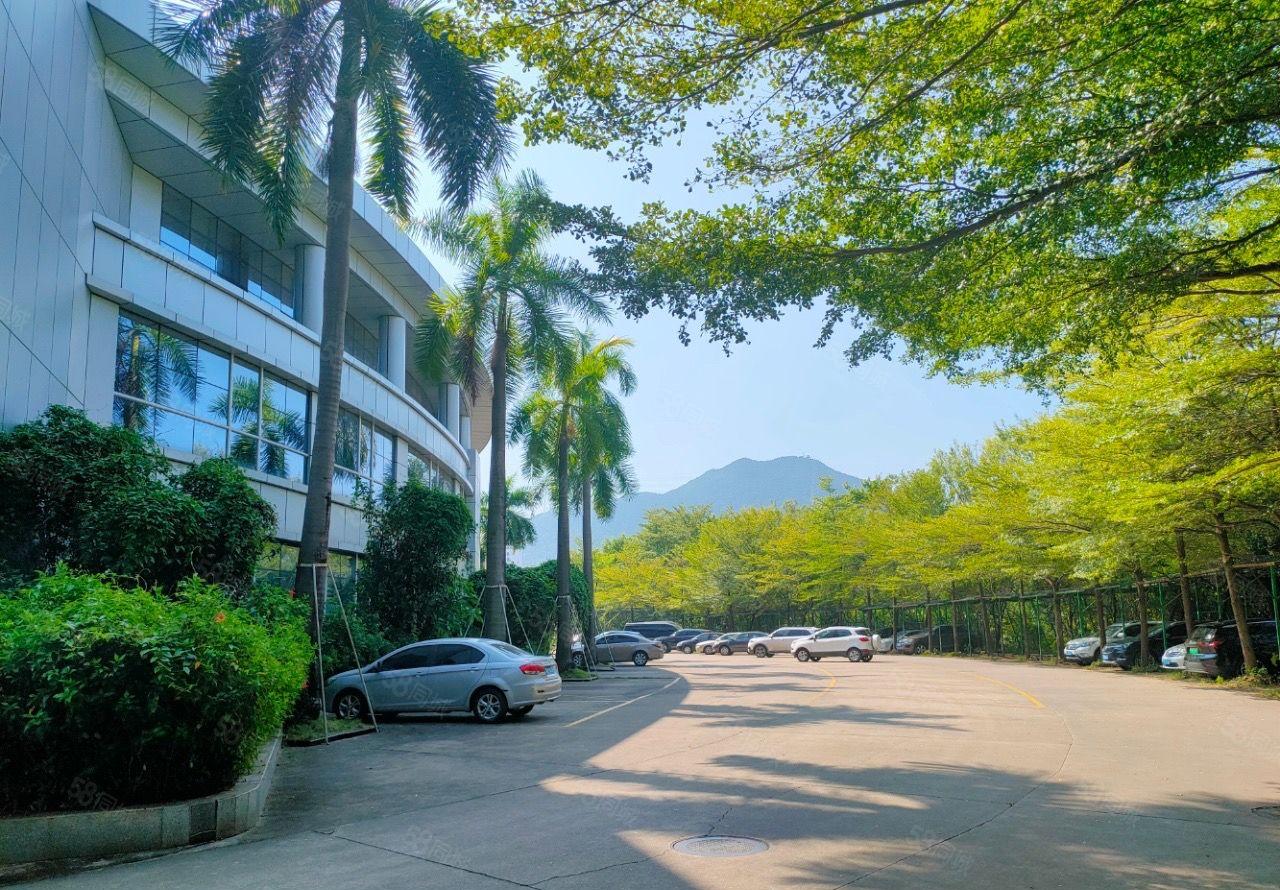 大亚湾1万平临深厂房出租 带行车 层高14米 空地2万可分租