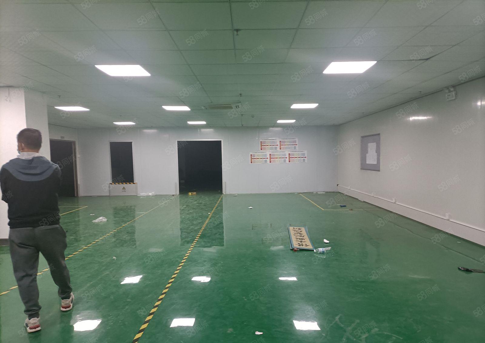 星华工业园800平无尘车间出租离坪山3公里处