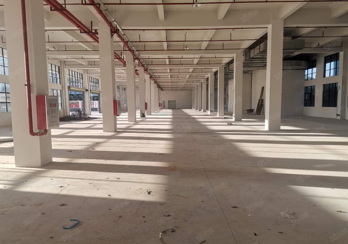 大亚湾西区22000平米全新红本厂房出租，可分租