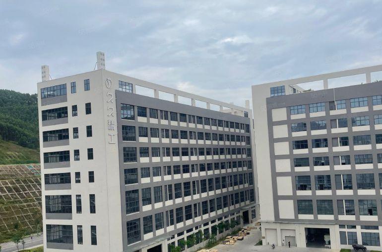 惠阳大亚湾西区原房东全新工业区6万平方厂房出租可以分租