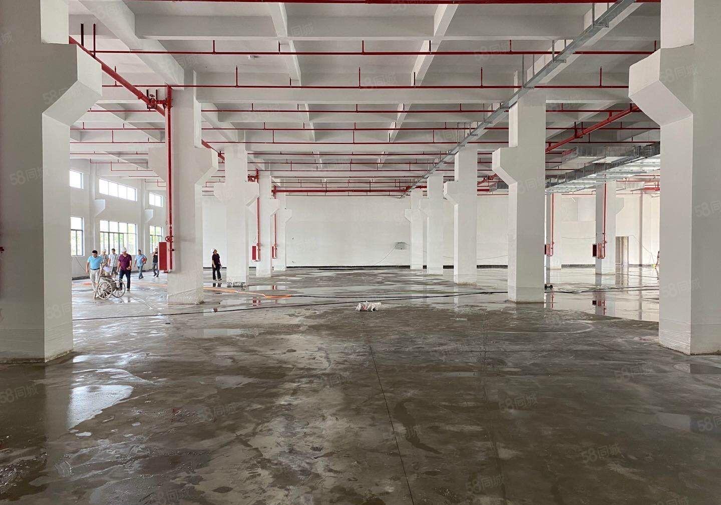 惠阳大亚湾一二楼标准厂房800平1000平出租