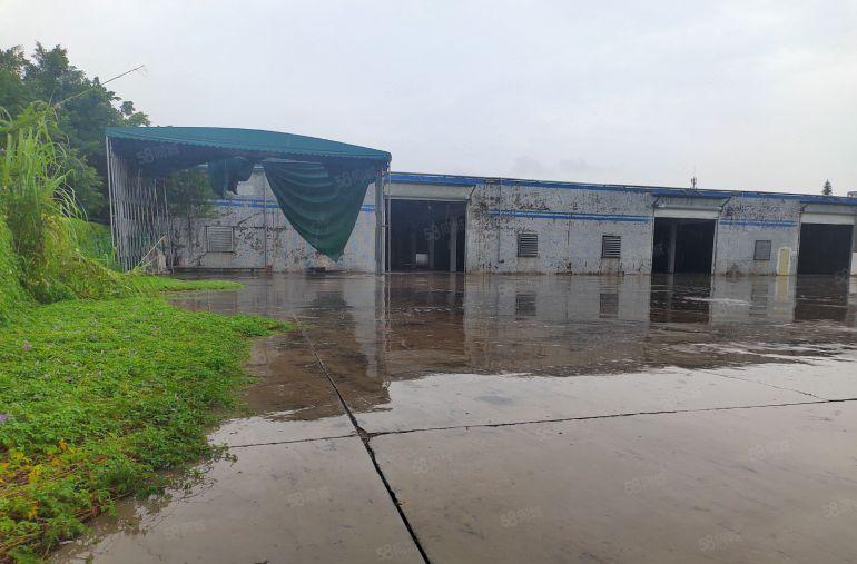 惠州市大亚湾独门独院钢构22300平两栋单一层钢构厂房出租