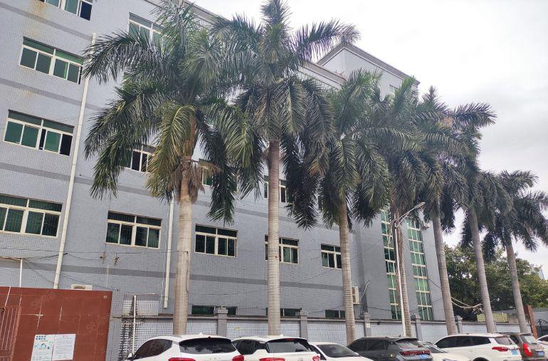 12月前租厂房，房东直言免租半年，红本证件厂房。