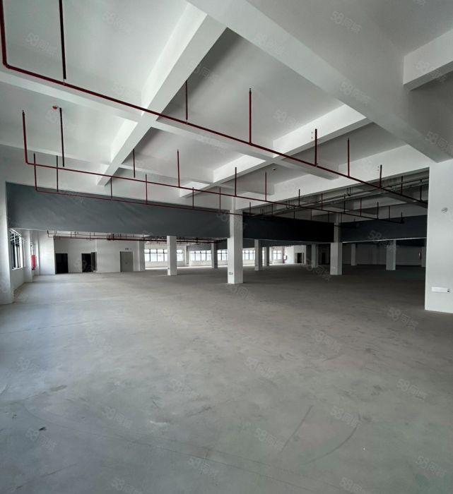 大亚湾临深片区，全新大园区！有大型停车场