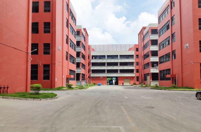 12块钱大亚湾西区楼上厂房，2009000