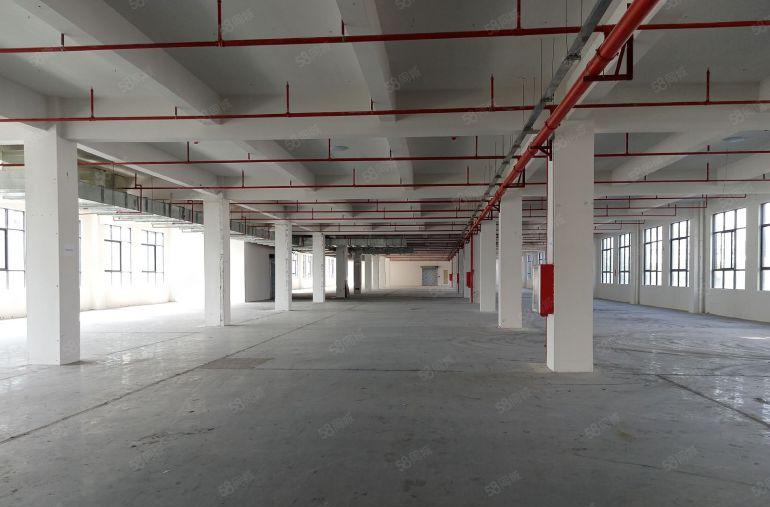 惠州大亚湾比亚迪旁全新厂房特价11元平招租