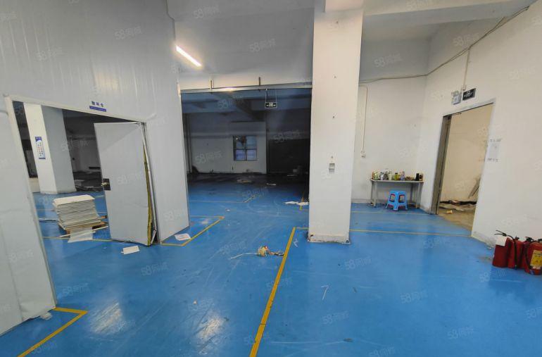 10元大亚湾西区新空出2350平精装修地坪漆厂房300平起分