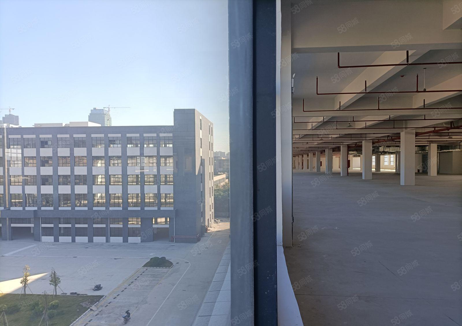 10元厂房大亚湾全新厂房3吨双开货梯1000平方可分割