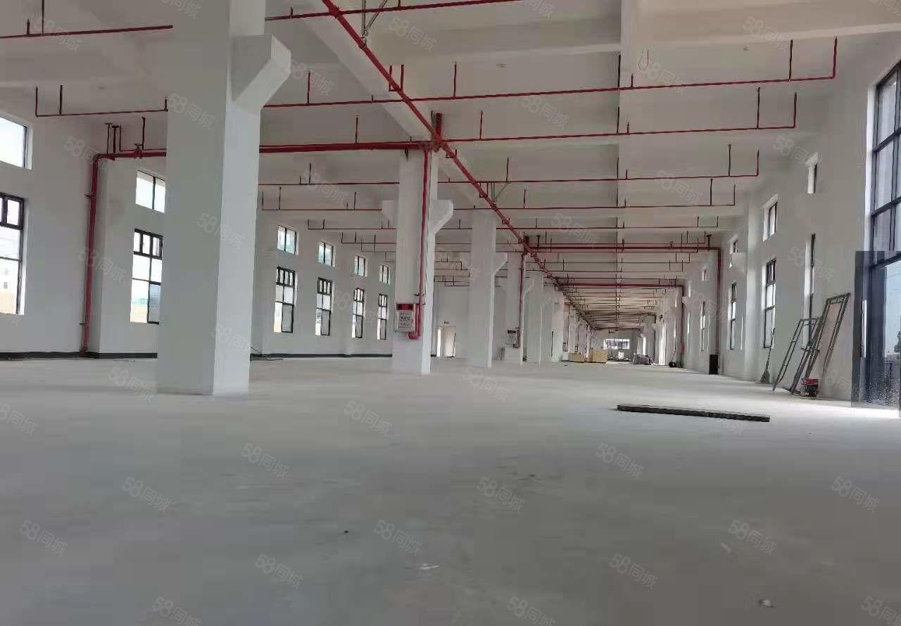 形象超好！一手自建全新红本独院厂房20000平米18块出租