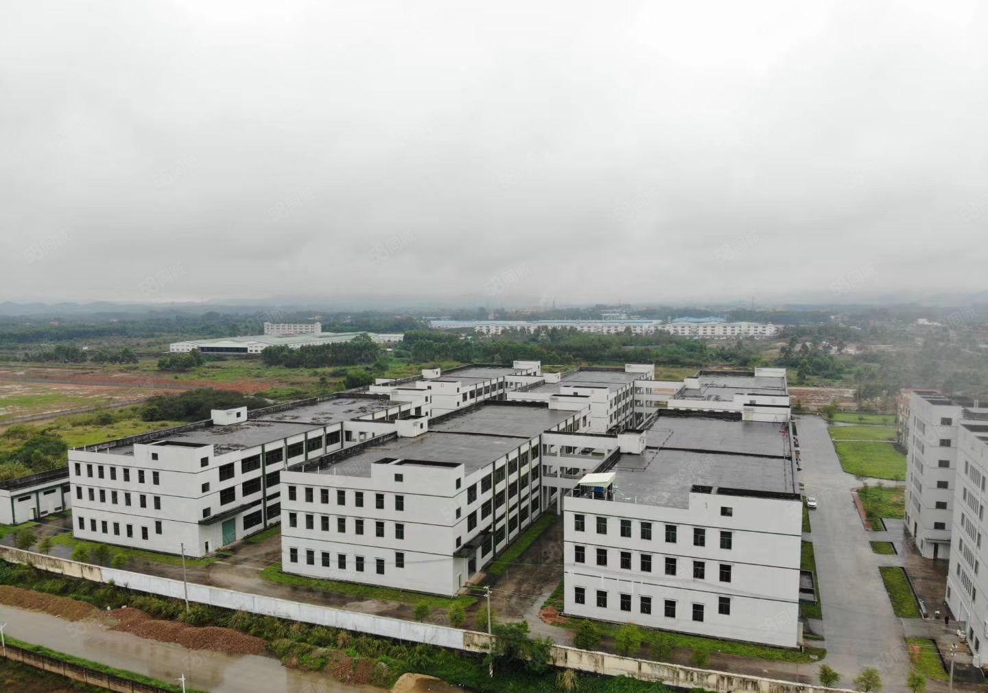 4万平米工业园火热招租（可整租分租）