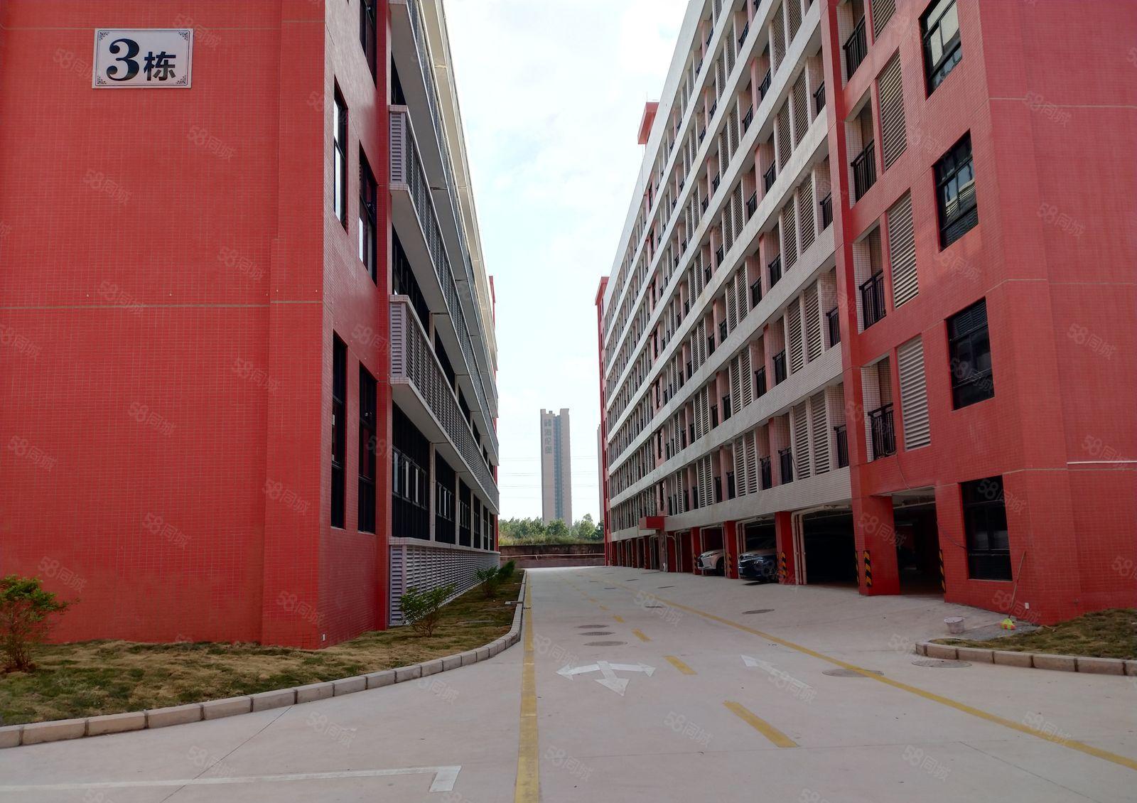 大亚湾龙山五路全新5万平厂房出租