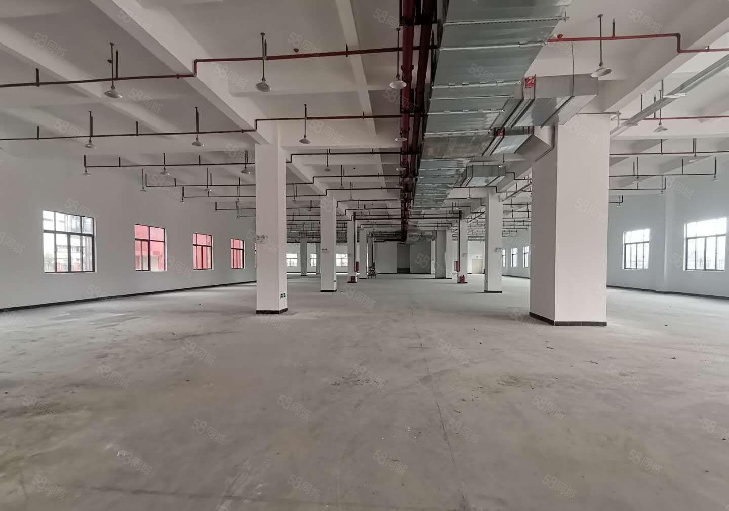 原房东全新红本独院20000平方米，形象好，空地大，可环评