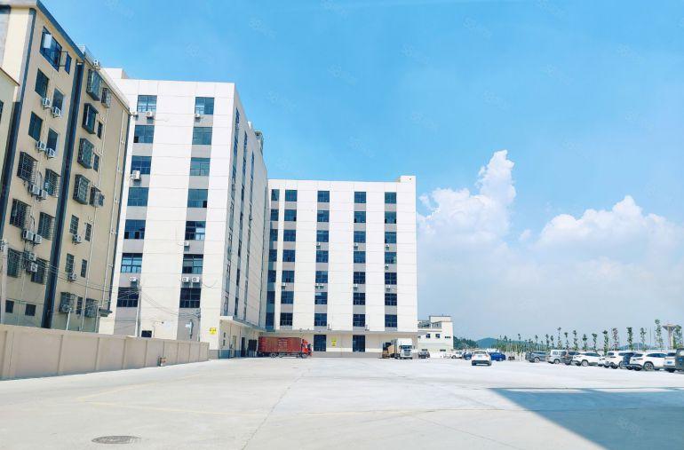 大亚湾西区，有地坪漆，有办公室，空地很大，主干道上