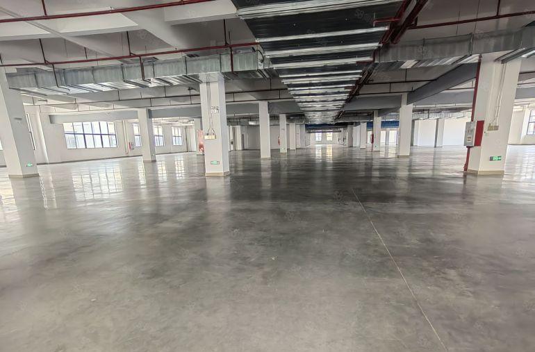 大亚湾全新标准厂房出租整层4200平电梯五吨3年不递增原房东