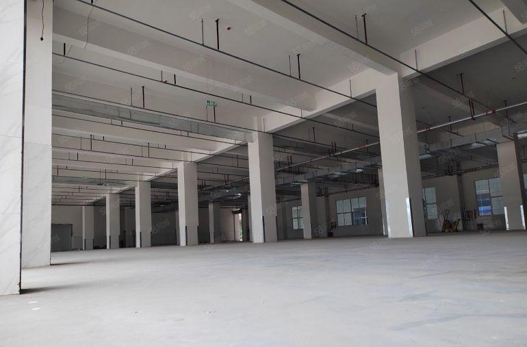 大亚湾全新园区160000平方米，厂房出租，可分租，形象好