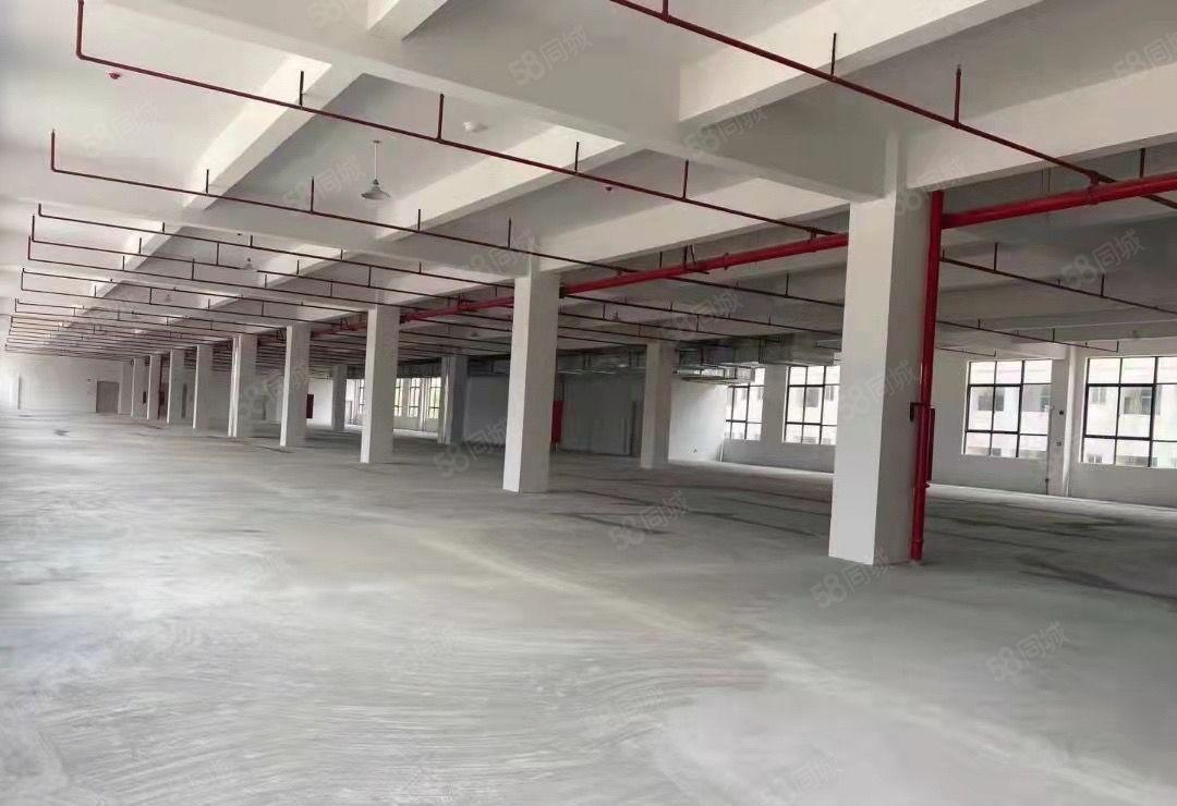 大亚湾西区合信工业园厂房40000平米，证件齐全可办环评。