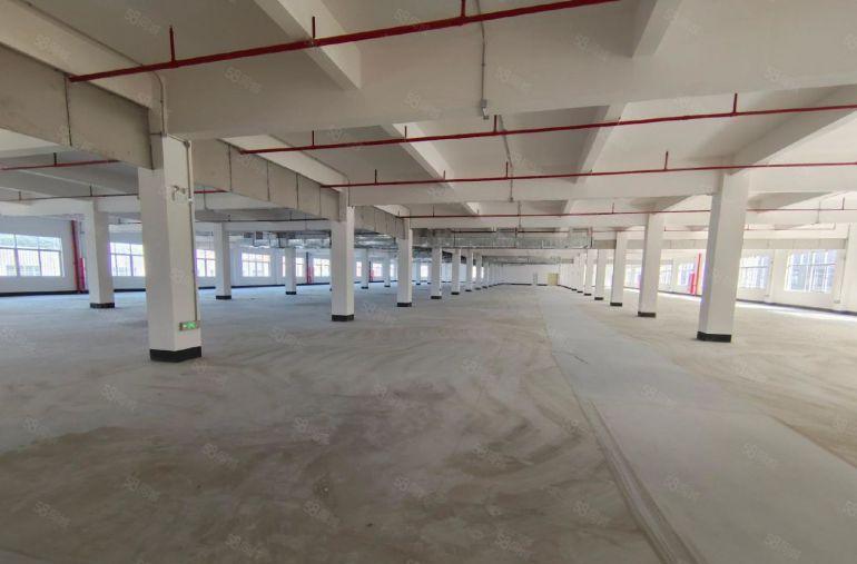 500平米起租大亚湾西区红本重工业厂房出租周边人流大好招工