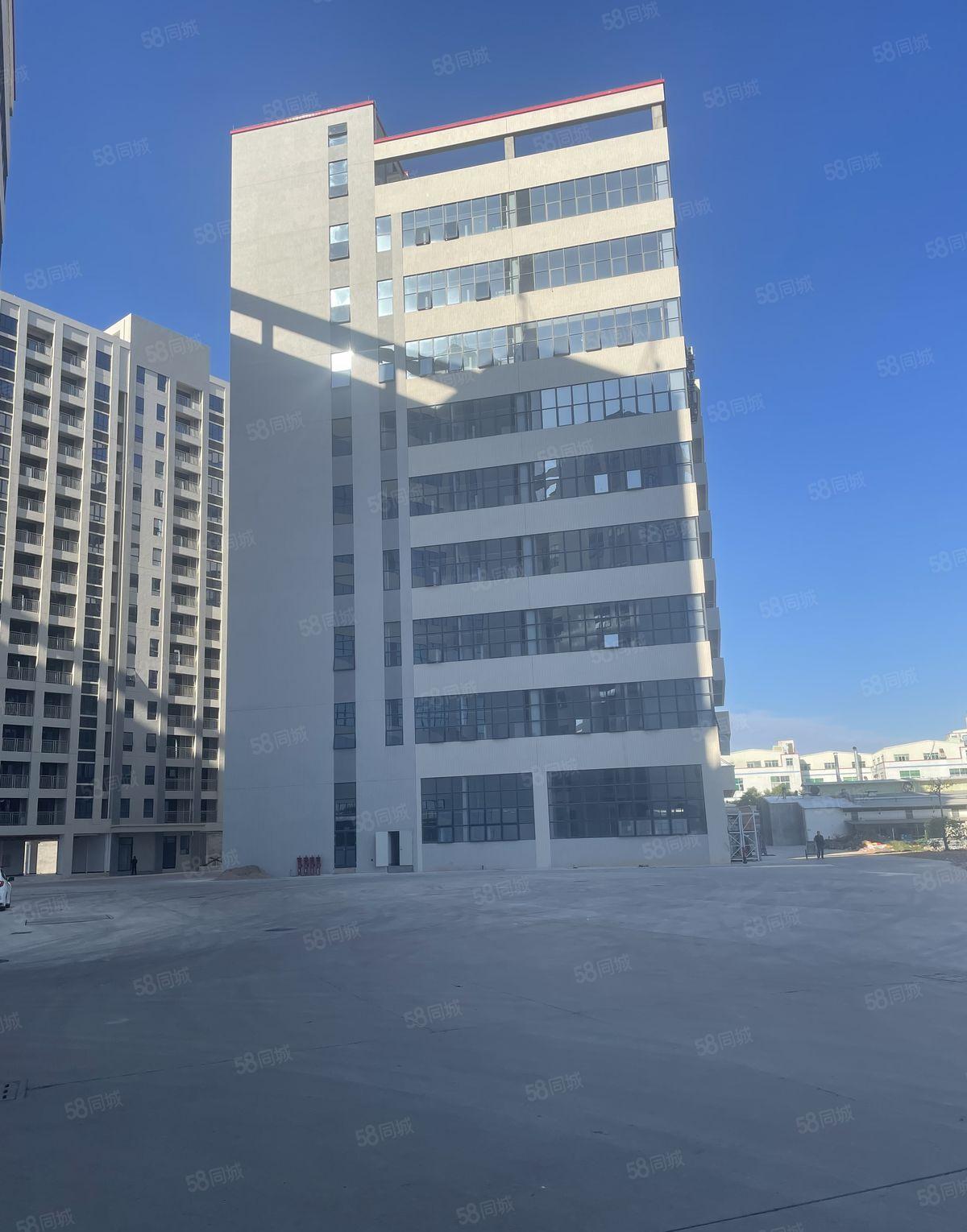 临深!响水河工业区12万方全新红本工业园厂房出租可分租大空地