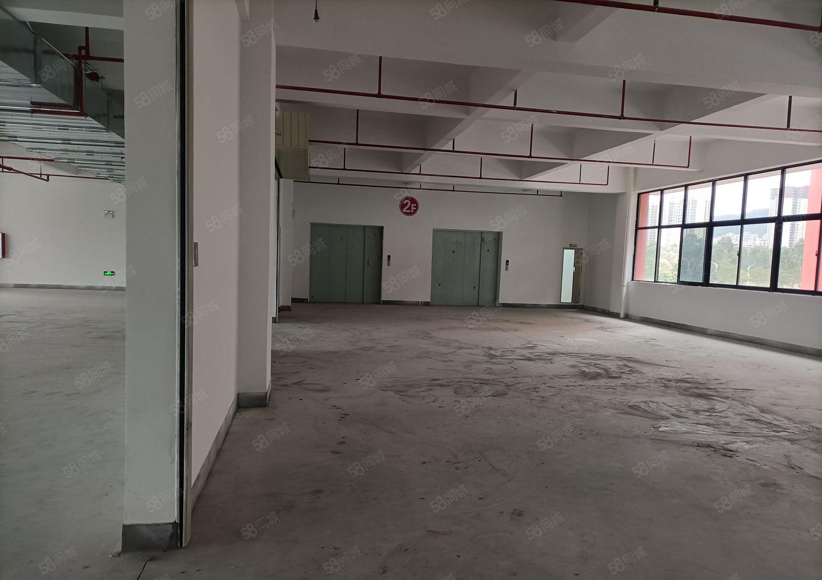 大亚湾临深十万平全新高新技术园低价出租，红本厂房原房东