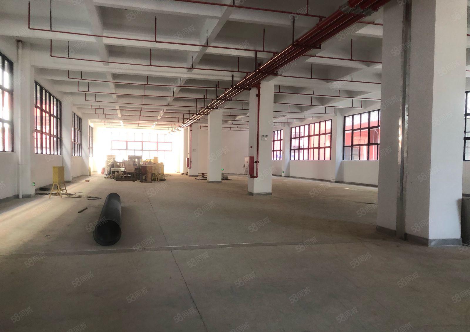 大亚湾花园式厂房原房东直租园区总面积106000m