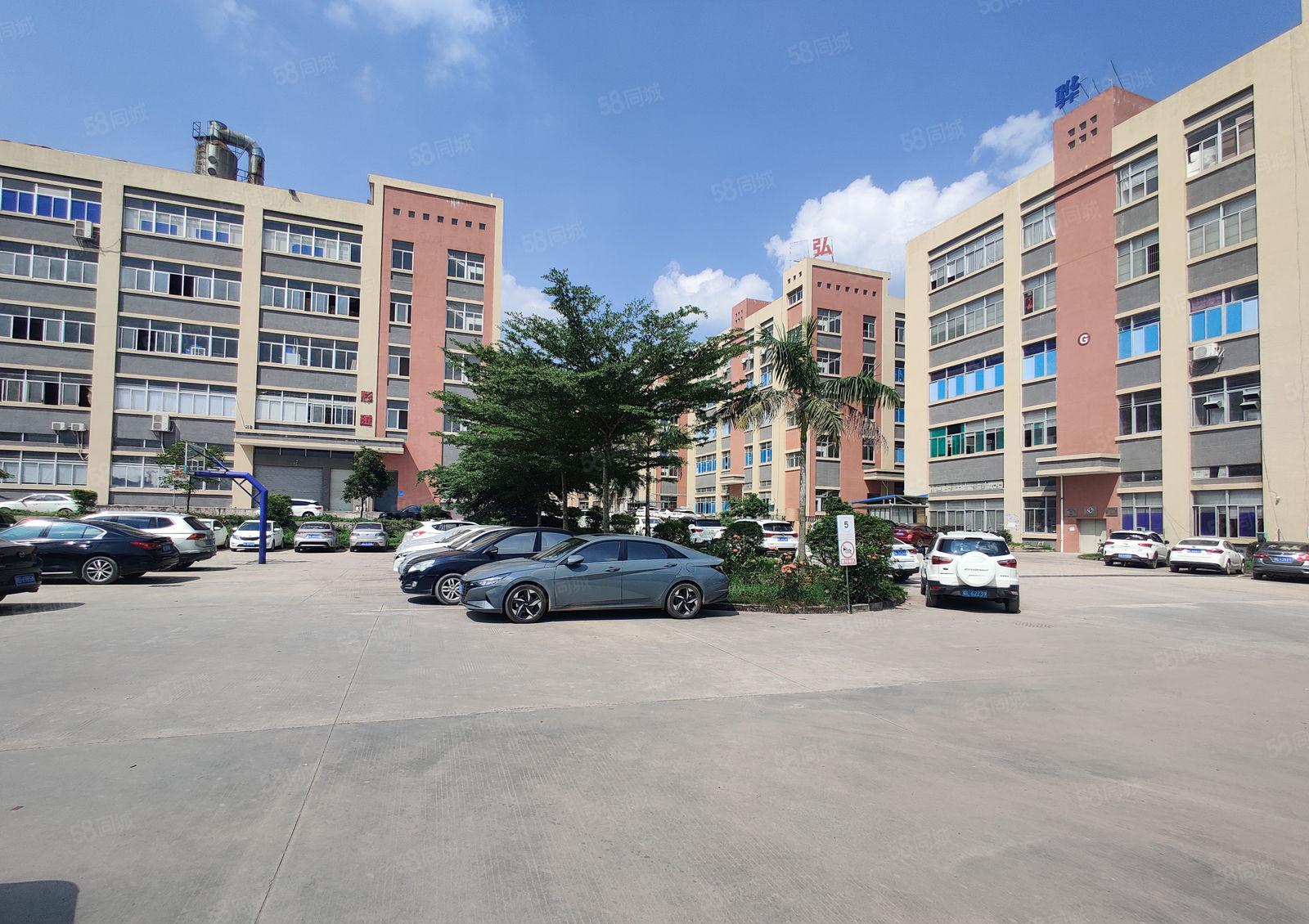 6元原房东大亚湾中心区200平起租无公摊一楼仓库厂房出租