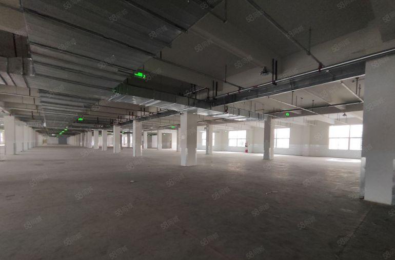 大亚湾临深10元起全新高标准厂房