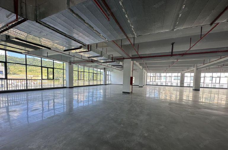 大亚湾全新玻幕墙高标准厂房，展厅，仓库，写字楼原房东低价出租