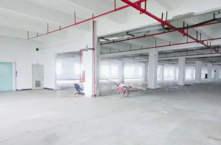 临深大亚湾 原房东 厂房平出租1000平起租 无公摊低价出租