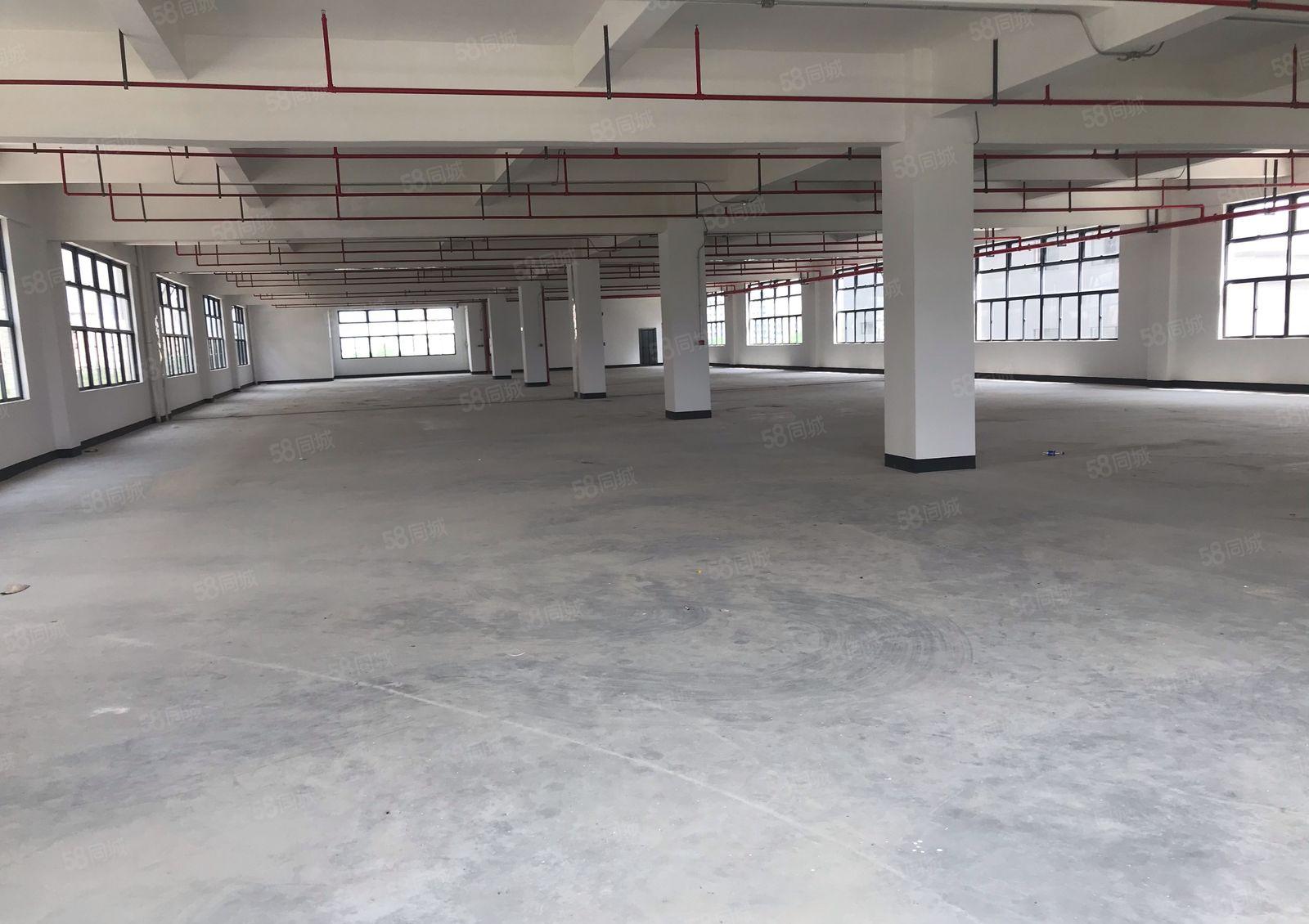 惠阳大亚湾一二楼标准厂房800平1000平出租