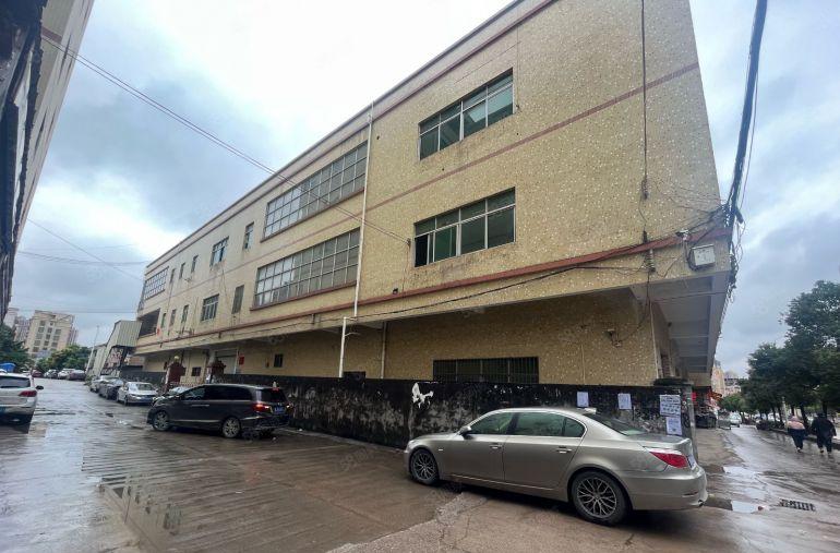 年底特价5元，大亚湾原房东直招，无公摊，不限制行业，