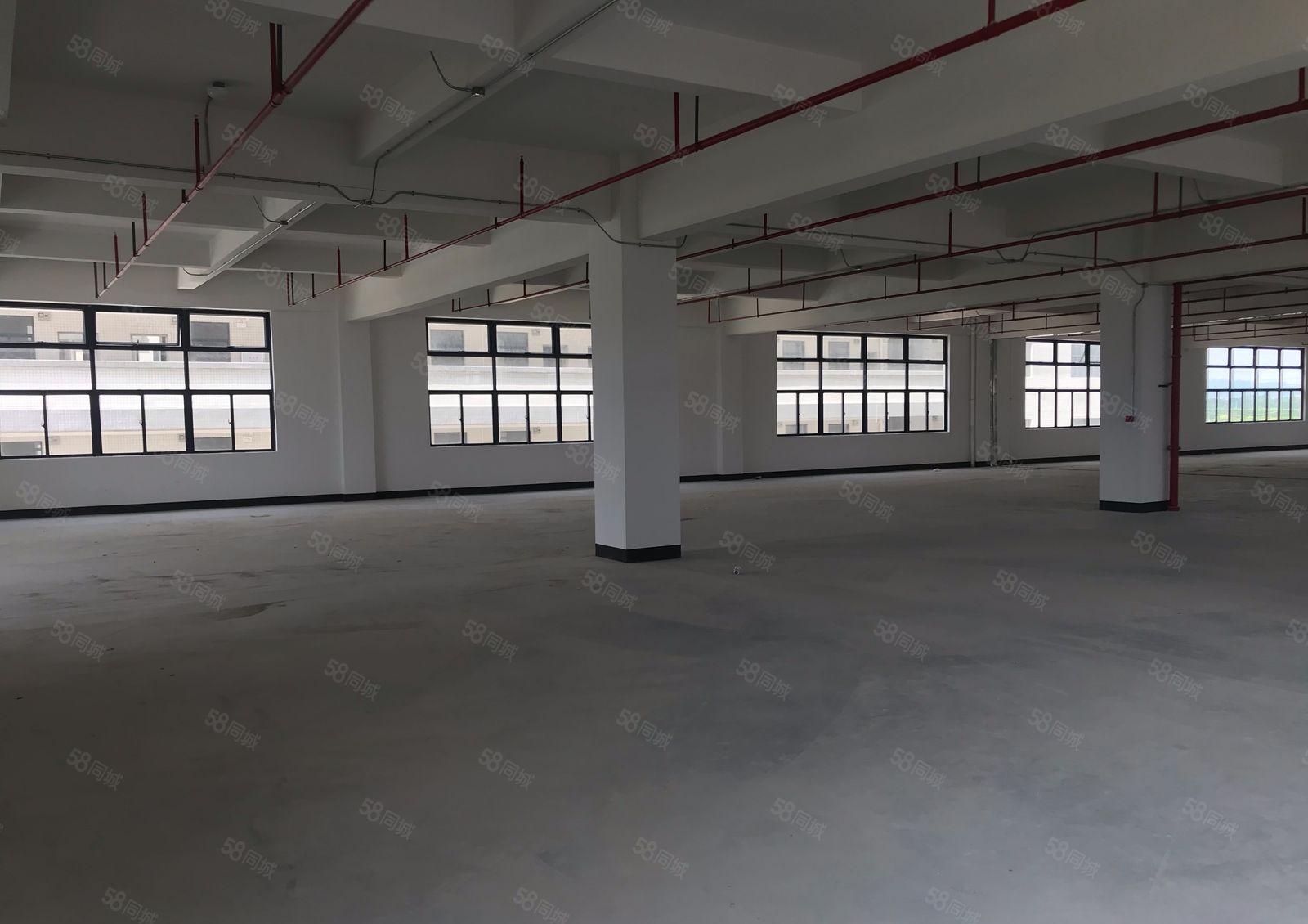 惠阳大亚湾一二楼标准厂房800平1000平出租