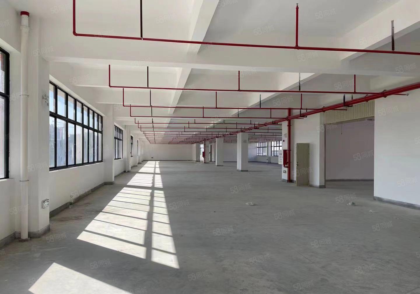 10万平大亚湾全新红本厂房出租仓库出租15元2000平起